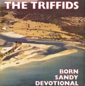 The Triffids - Tender Is The Night (The Long Fidelity)