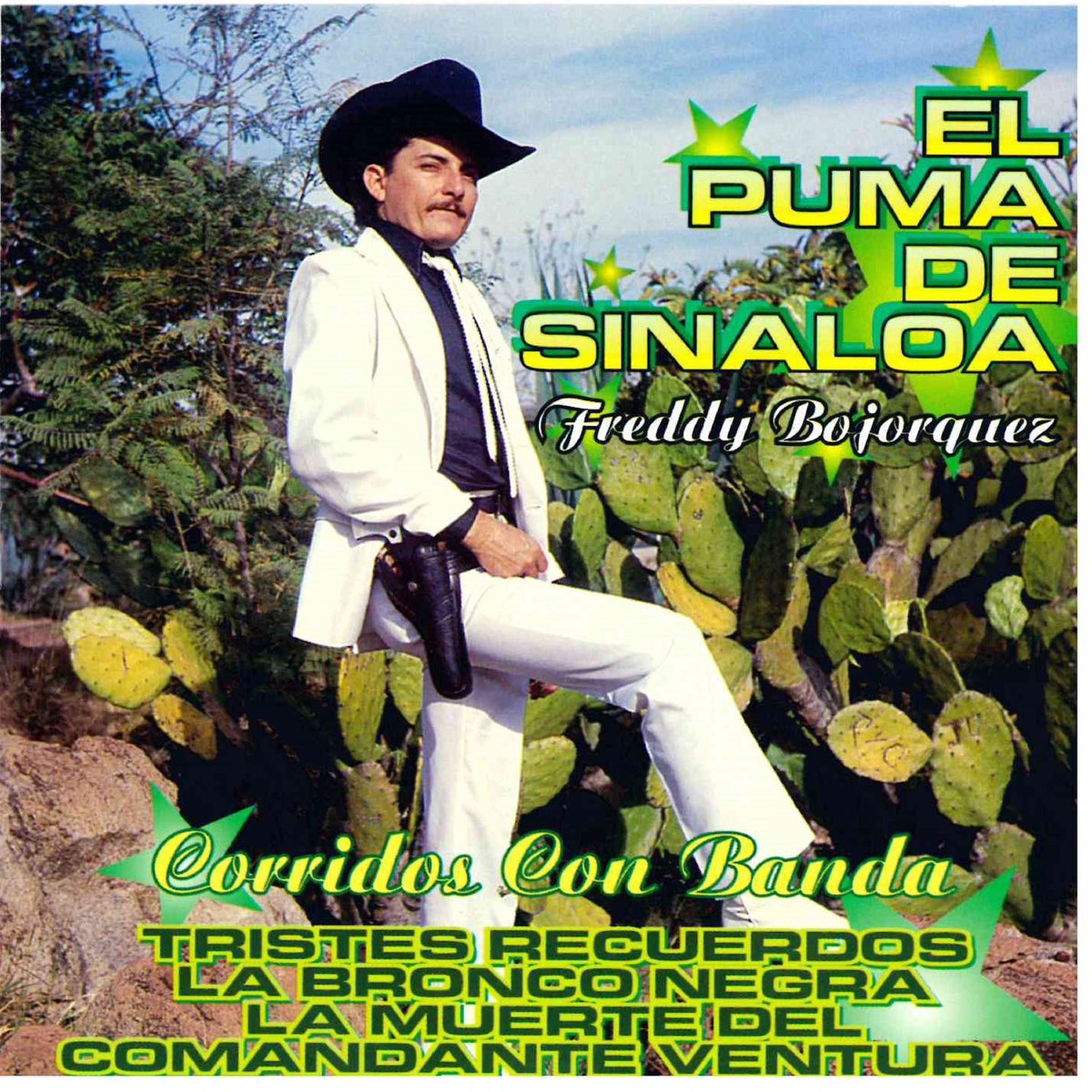 el puma de sinaloa