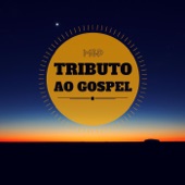 Tributo ao Gospel artwork