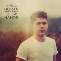 Niall Horan - Slow Hands artwork