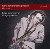 Schubert.Metamorphosen artwork