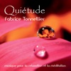 Quiétude : Musique pour la relaxation et méditation