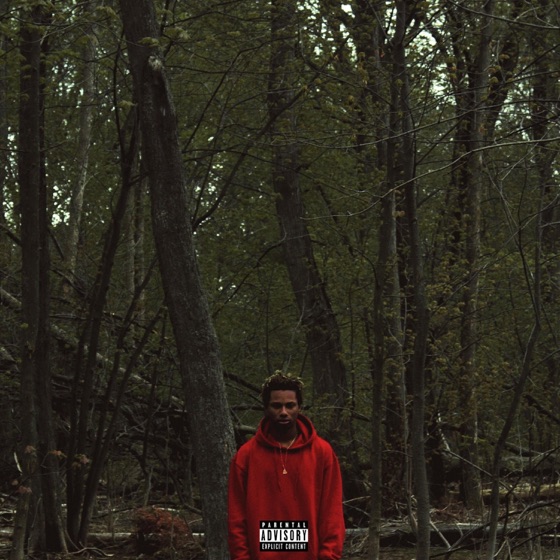 Cover artwork for Problems