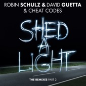 Shed a Light (Acoustic Version) artwork