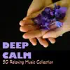 Deep Calm - 50 Relaxing Music Collection for Sleeping Deeply Through the Night, Best Instrumental Playlist album lyrics, reviews, download