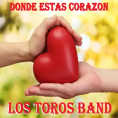 Dónde Estás Corazón - Los Toros Band