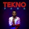 Pana - Tekno lyrics