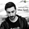 Anthony Mea - Hi Sally