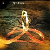 TrinityRoots - Little Things