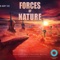 Forces of Nature - Michael Maas lyrics