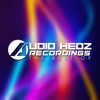 Audio Hedz Recordings the Best of, Vol. 1, 2017