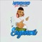 Ngena Enganeni (feat. Mamillion) - Mzokoloko lyrics