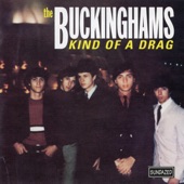 The Buckinghams - I Call Your Name