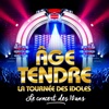 Âge Tendre, La Tournée des Idoles - Le Concert des 10 Ans, 2017