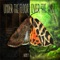 Cut Anchor - Abney Park lyrics