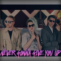The Animal In Me Lyrics - Never Gonna Give You Up