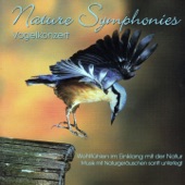 Nature Symphonies: Vogelkonzert artwork
