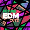 Future EDM Cuts, Vol. 1