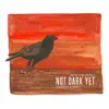 Not Dark Yet - Single album lyrics, reviews, download