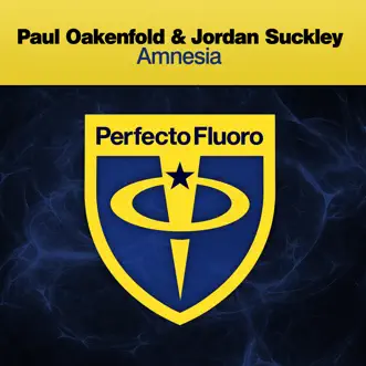 Amnesia by Paul Oakenfold & Jordan Suckley song reviws