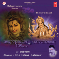 Shankar Sahney - Mahamritunjaya Mantra and Bhavanyashtakam artwork