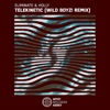 Telekinetic (Wild Boyz! Remix) - Single
