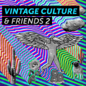 That's Why (feat. Dashdot) [Vintage Culture Remix] - Vintage Culture