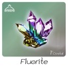 Fluorite 1st Crystal - EP