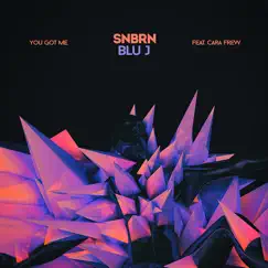 You Got Me (feat. Cara Frew) - Single by SNBRN & BLU J album reviews, ratings, credits