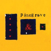 Need by Pinegrove