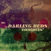 Evergreen - EP, 2017