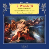 Wagner: Famosas Oberturas artwork
