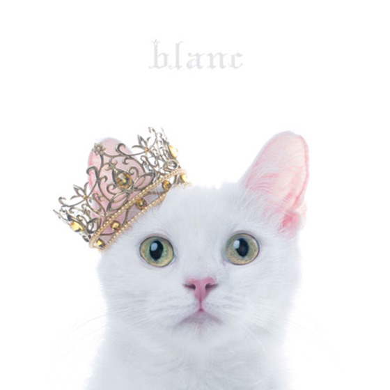 Cover artwork for Everlasting Snow