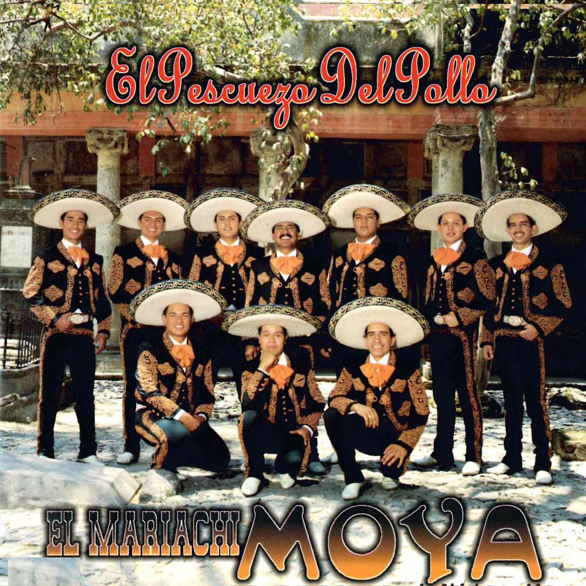 Actualizar 53+ imagen mariachi moya el pescuezo del pollo