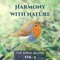Harmony with Nature Vol. 3: The Birds Sound - Serenity Nature Sounds Academy lyrics