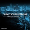 Submission Recordings Presents:Miami2017, 2017