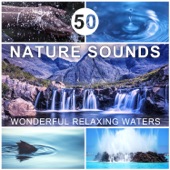 50 Nature Sounds: Wonderful Relaxing Waters - Music for Deep Sleep, Total Rest & Relaxation, Healing Power of Water, Rain, Waterfall, Stream, Sea & Ocean Sounds artwork