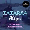Алтын (DJ Цветкоff & Hokkan Remix) - Single album lyrics, reviews, download