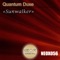 Sunwalker - Quantum Duxe lyrics