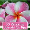 50 Relaxing Sounds for Spa – The Best Relaxation Music for Massage, Zen Tracks and Nature Sounds for Therapy Room, Healing & Deep Regeneration album lyrics, reviews, download