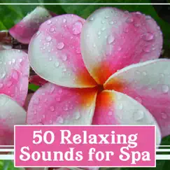 50 Relaxing Sounds for Spa – The Best Relaxation Music for Massage, Zen Tracks and Nature Sounds for Therapy Room, Healing & Deep Regeneration by Spa Music Paradise Zone album reviews, ratings, credits