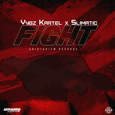 Fight (feat. Slimatic) - Single - Vybz Kartel