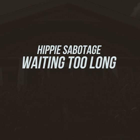 Cover artwork for Waiting Too Long