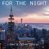 For the Night - Single