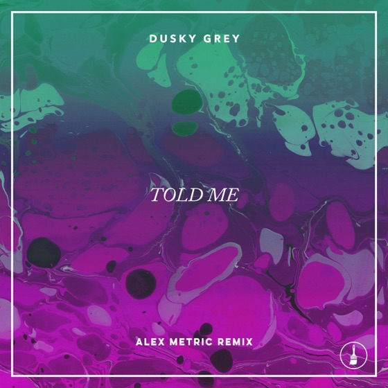 Cover artwork for Told Me (Alex Metric Remix)