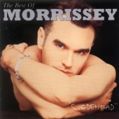 The Best of Morrissey - Suedehead artwork