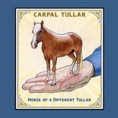 Carpal Tullar - The Sniper