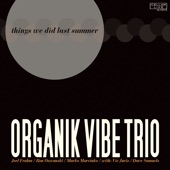 Organik Vibe Trio - Ecaroh