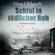 Nina Ohlandt - Schlaf in tödlicher Ruh (John Benthien - Die Jahreszeiten-Reihe 3)