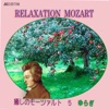Ensemble Schumidt - Flute and Harp Concerto in C Major, K.299/297c: Allegro